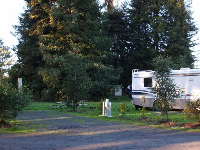 White RV in the Campground