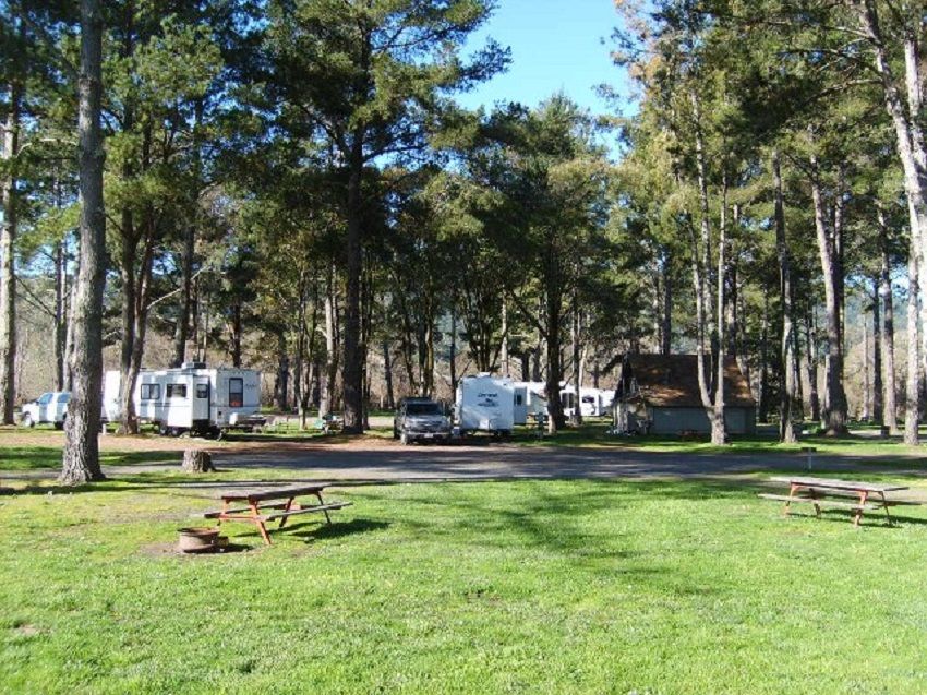 Campground with Beautiful Trees