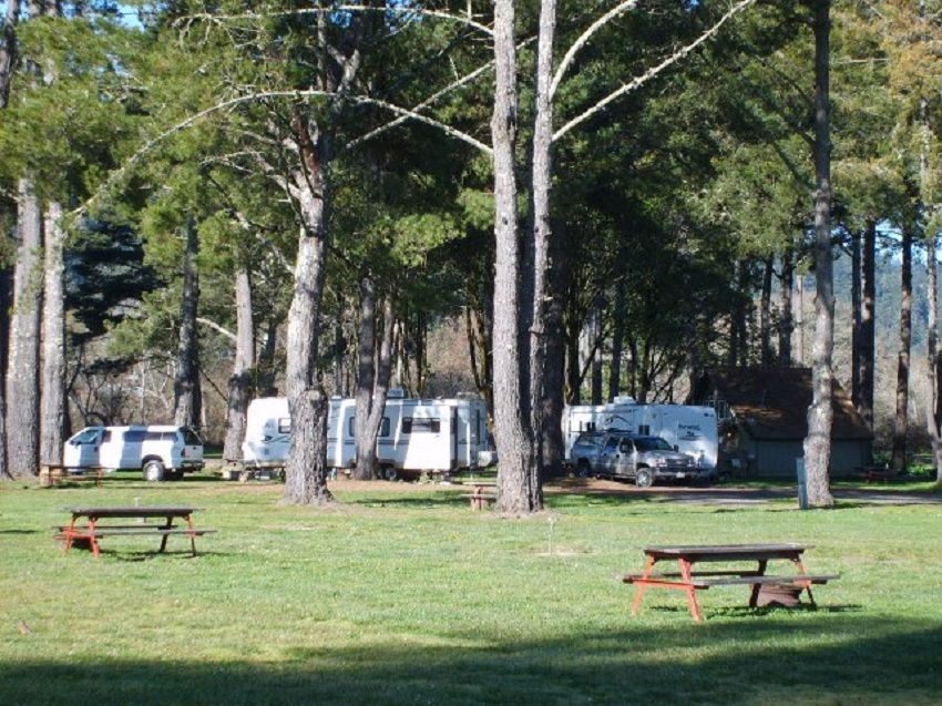 Picnic Tables in the Camping Area