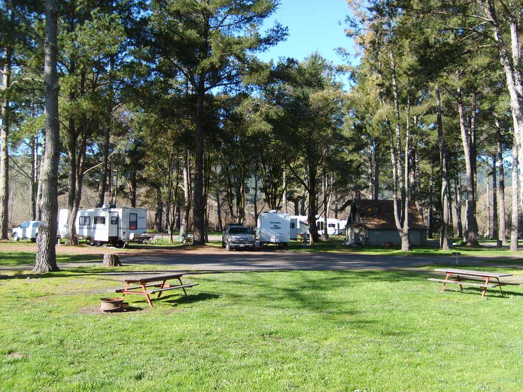 Picnic Tables in the Camping Area